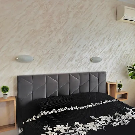 Super Comfy * 부르가스